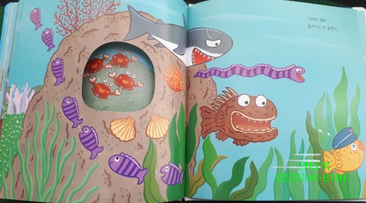 도레미곰 전집 가격 문의 직영점