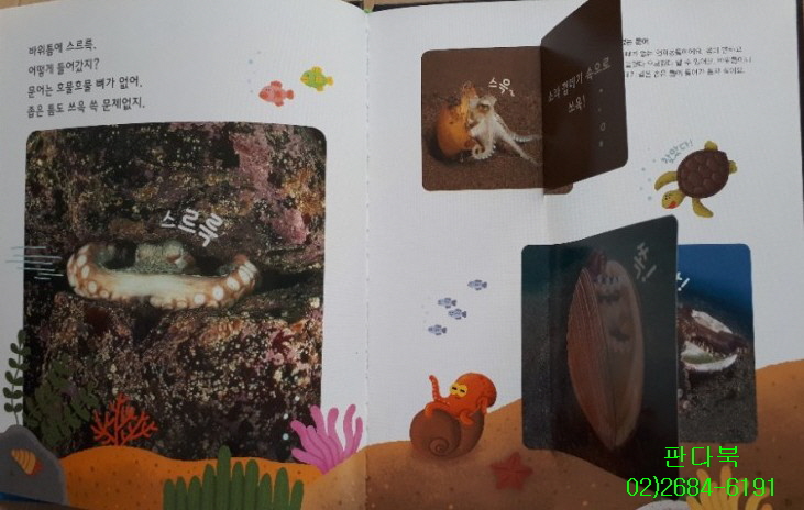 놀라운자연 가격 문의