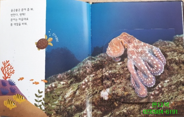 놀라운자연 가격 문의