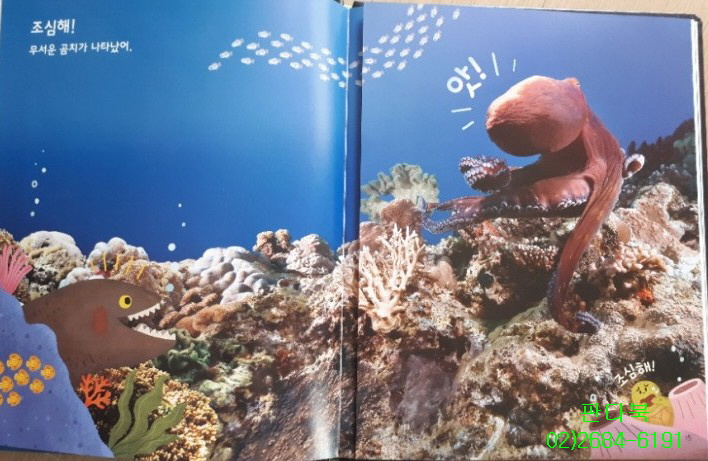 놀라운자연 가격 문의